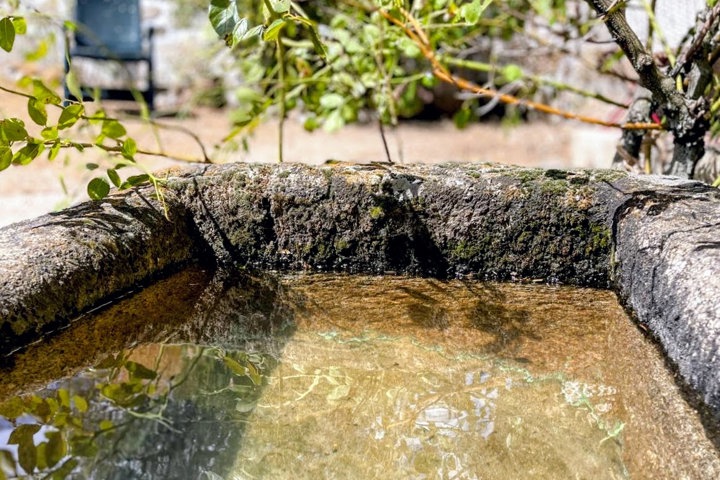 Azores Estate | Herdade de Açores - 11