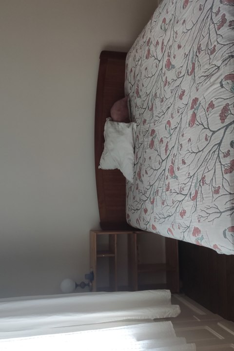 A true oasis of calm, in the middle of Budapest - 1