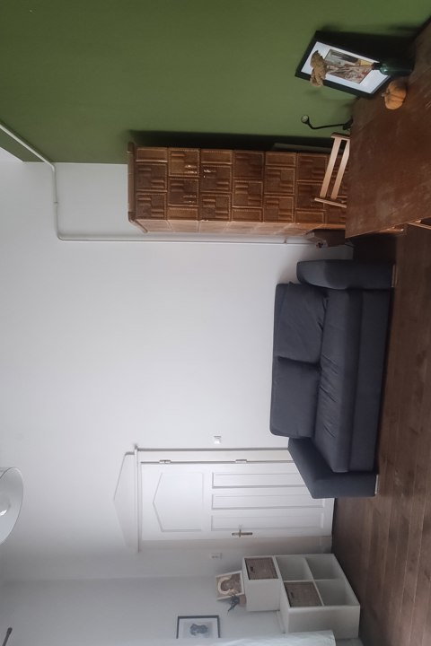 A true oasis of calm, in the middle of Budapest - 2