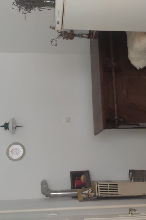 A true oasis of calm, in the middle of Budapest - 5