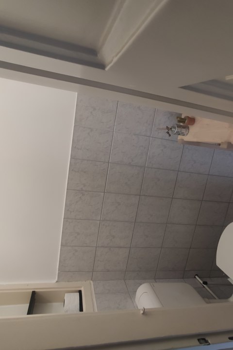 A true oasis of calm, in the middle of Budapest - 10