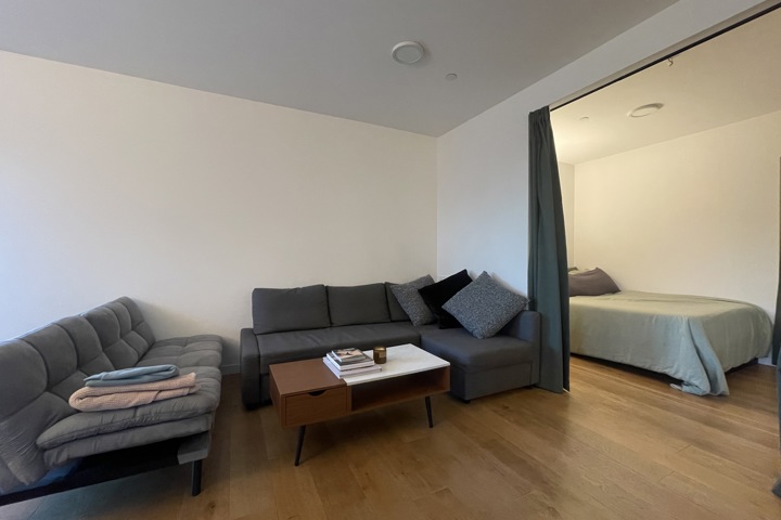 Sunny and spacious San Francisco home - 3