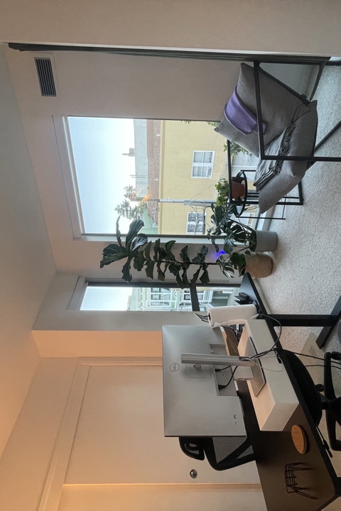 Sunny and spacious San Francisco home - 2