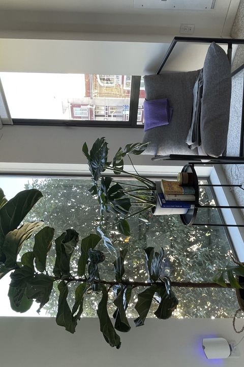 Sunny and spacious San Francisco home - 1