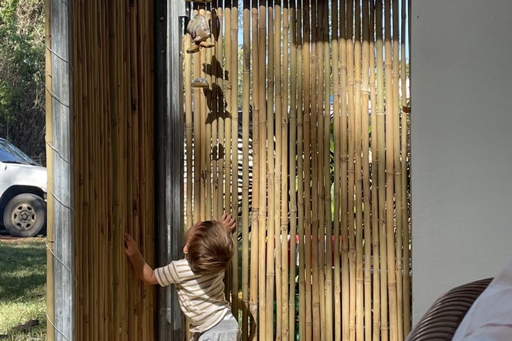 Cozy Clean Home in Tropical Getaway w Private Yard - 5