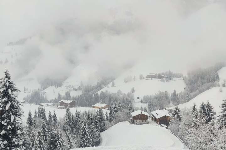 Lovely wood house in the middle of the alps. - 1