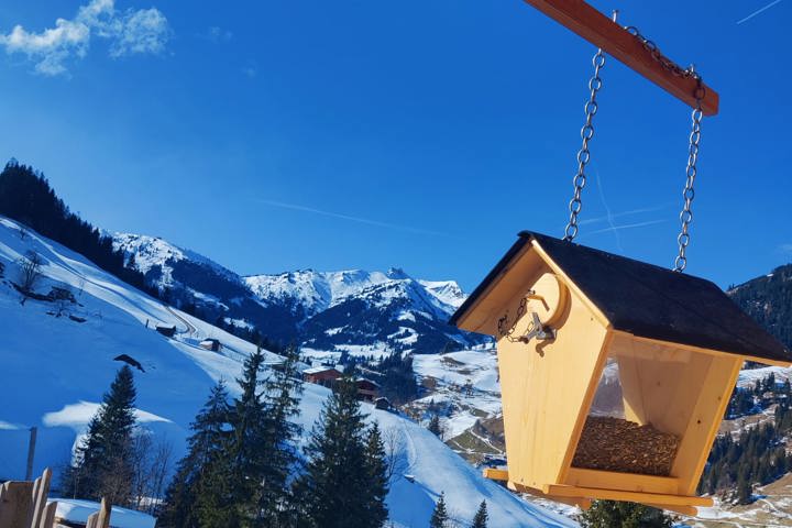 Lovely wood house in the middle of the alps. - 11