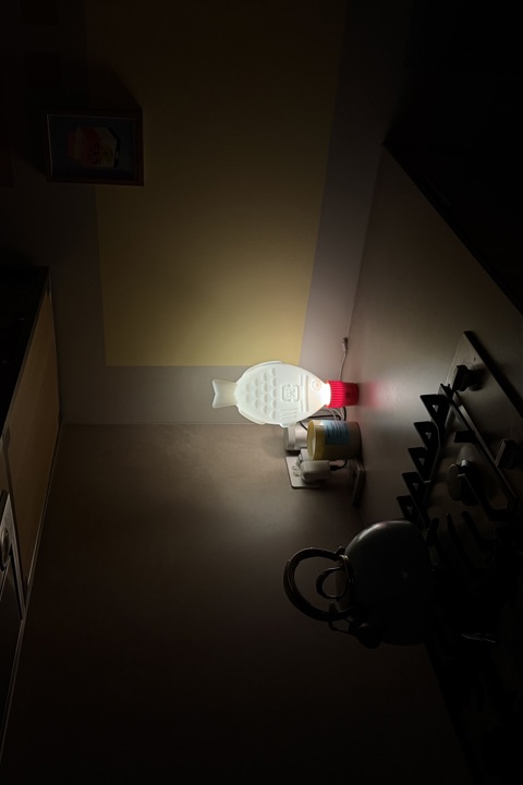 Close to city centre setup for remote working - 19