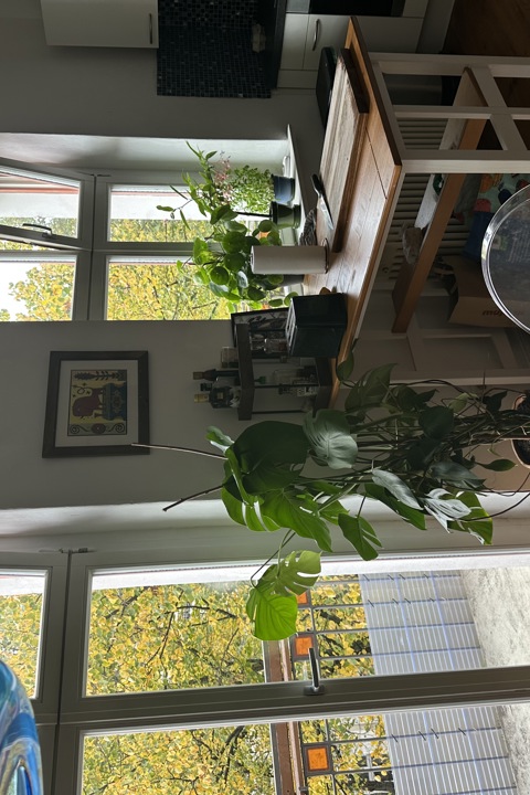 Friedrieshchain apartment with a soundsystem - 14