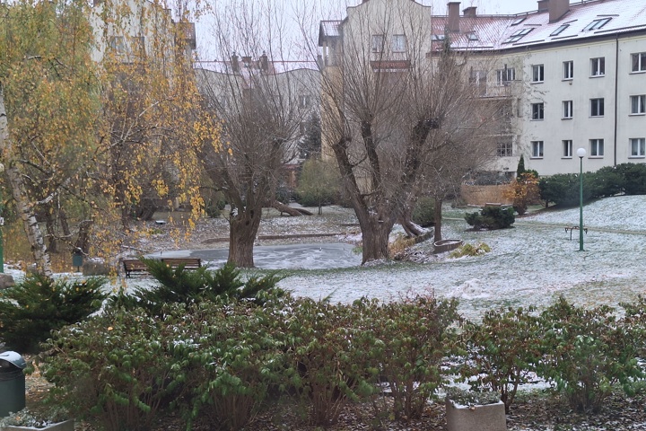 Peaceful Garden Apartment Near the Metro - 6