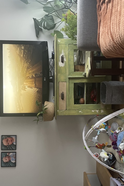 Quiet inner city retreat - 2