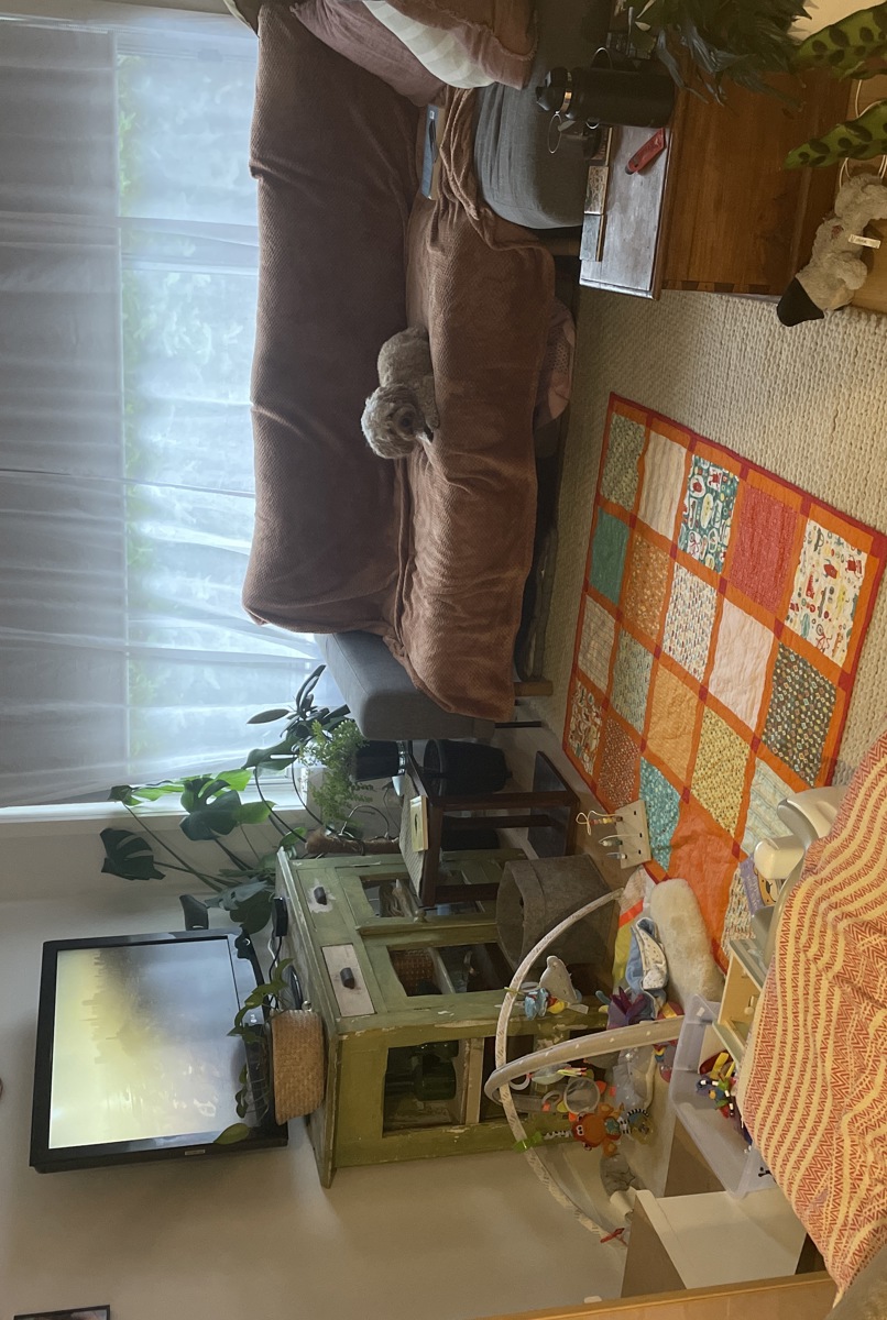 Quiet inner city retreat