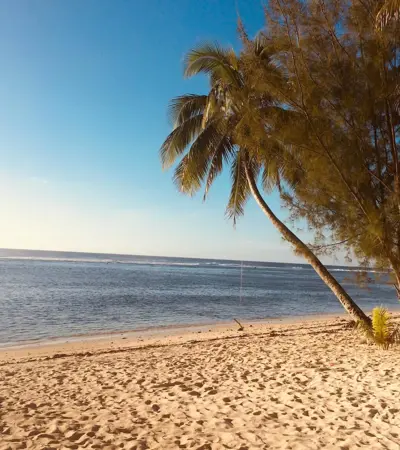house swap in cook-islands