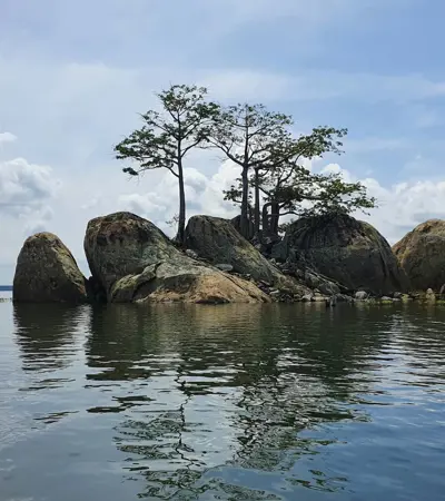 house swap in cote-d-ivoire