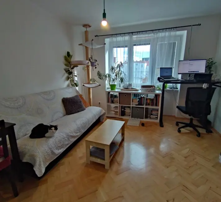 Hradec Kralove, Czech Republic 1 bed · 2 workspaces · 100 Mbps WiFi