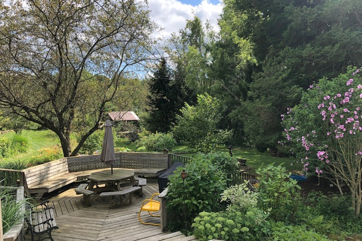 Wildflower Cottage - 1