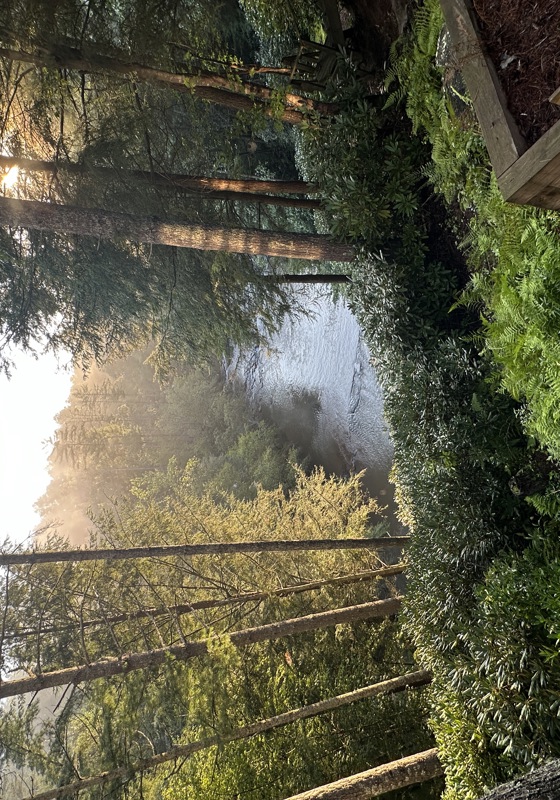 home swap in Dahlonega, Georgia (State)