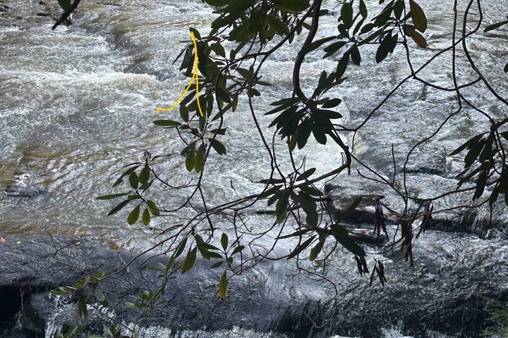 Lovely cabin on a stunning whitewater river - 15