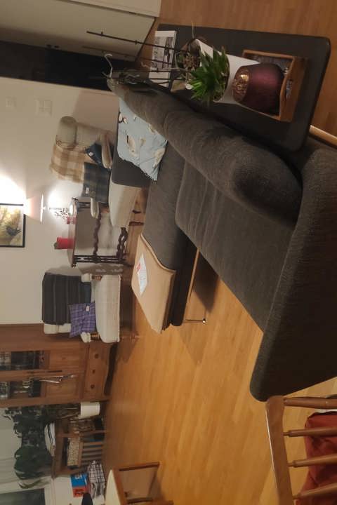 Spacious apartment with quick access to Zurich - 1