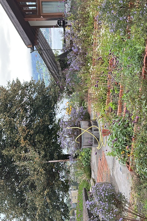 Relaxed home in quite Swiss neighborhood - 2