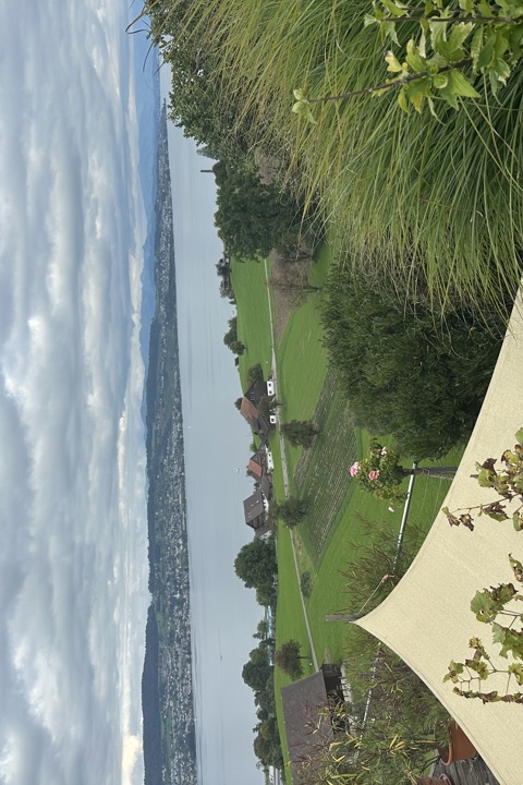 Relaxed home in quite Swiss neighborhood - 4