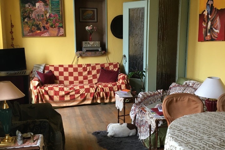 Beautiful house in the best area - 2