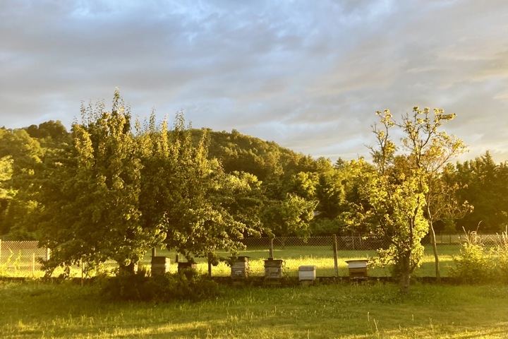 Charm and Comfort in Isère - 35