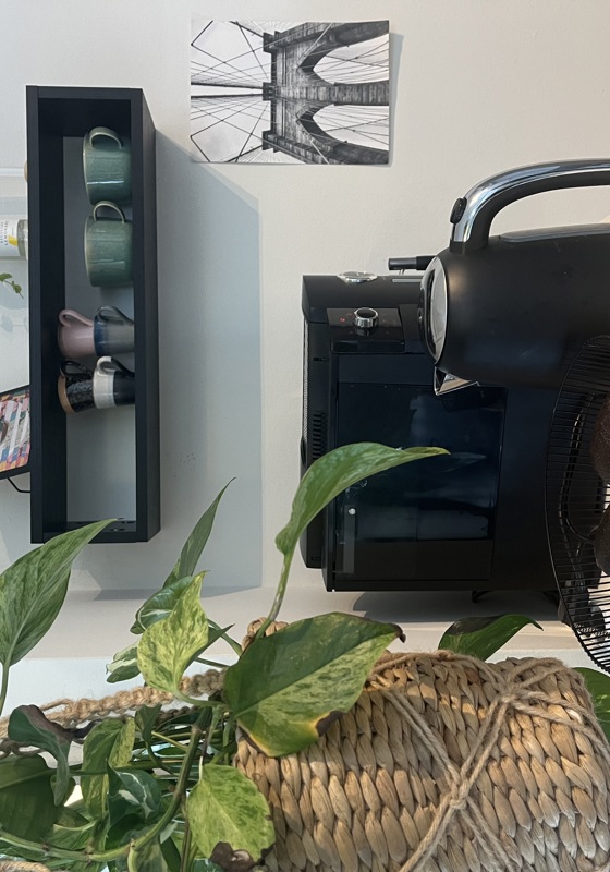 home swap in Utrecht, The Netherlands