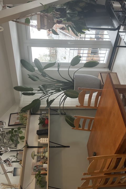 Apartment in beautiful neighborhood in Utrecht - 11