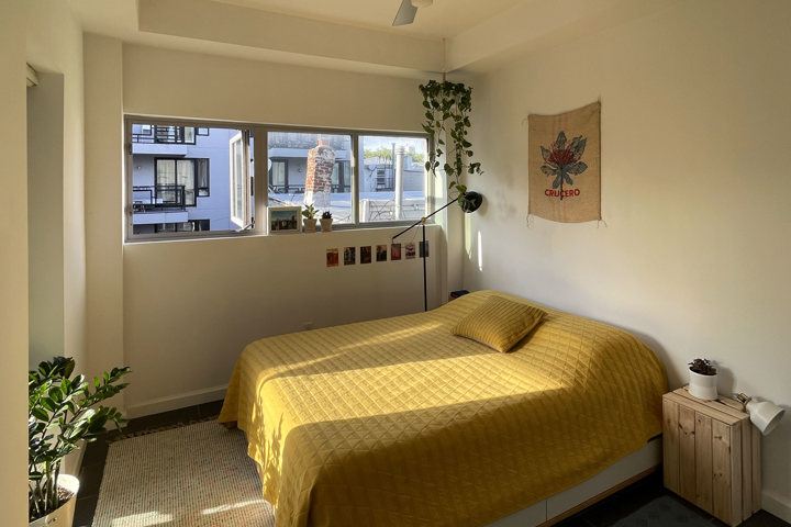 Designers’ plant-filled apartment - 5