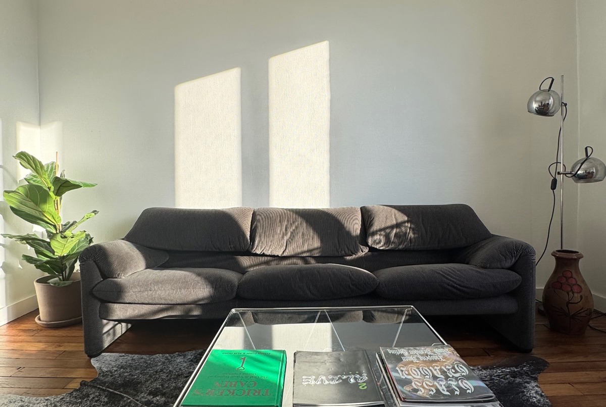 Spacious Paris apartment with beautiful view