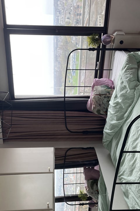 Sunshine morning - 7