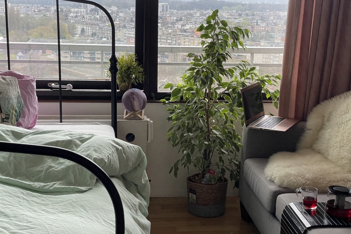 Sunshine morning - 6