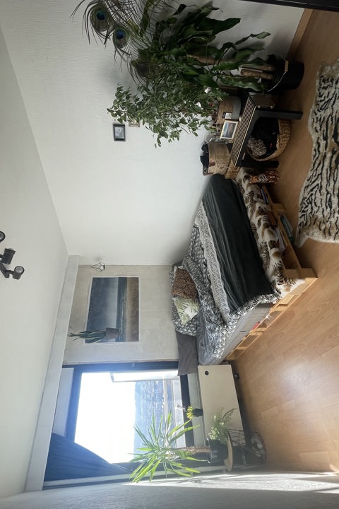 Sunshine morning - 8