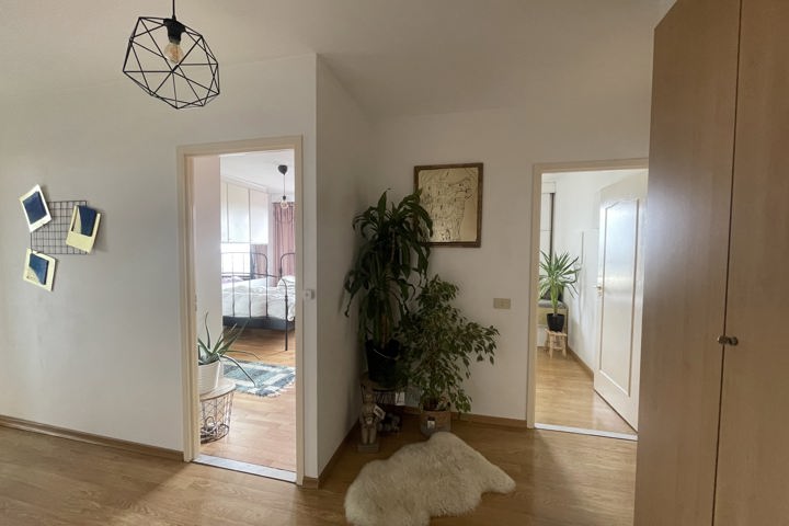 Sunshine morning - 11