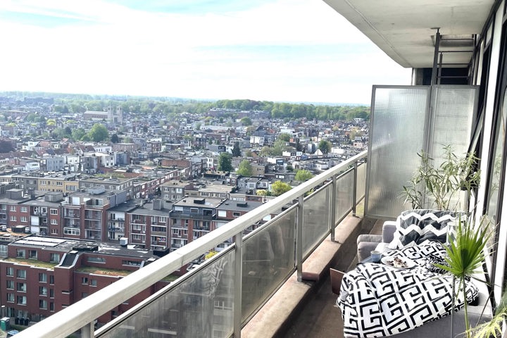 Sunshine morning - 13