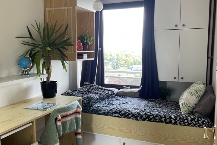 Sunshine morning - 12