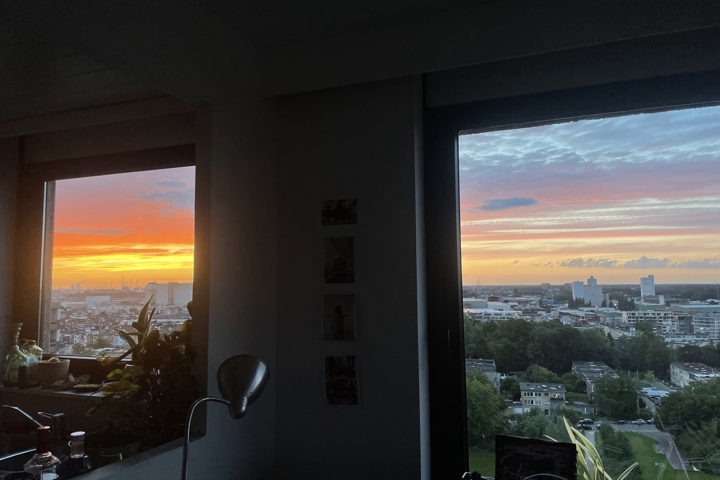 Sunshine morning - 4