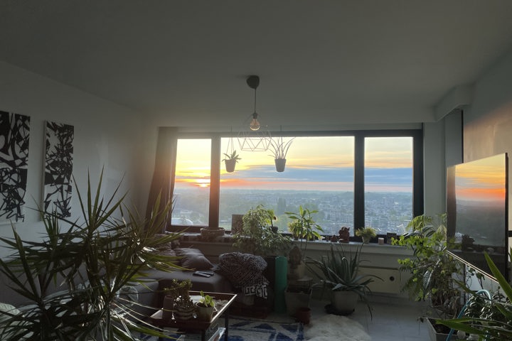 Sunshine morning - 3