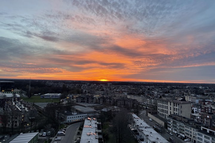 Sunshine morning - 14