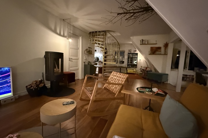 Artist’s Family Home in Valby – Quiet, Central - 4