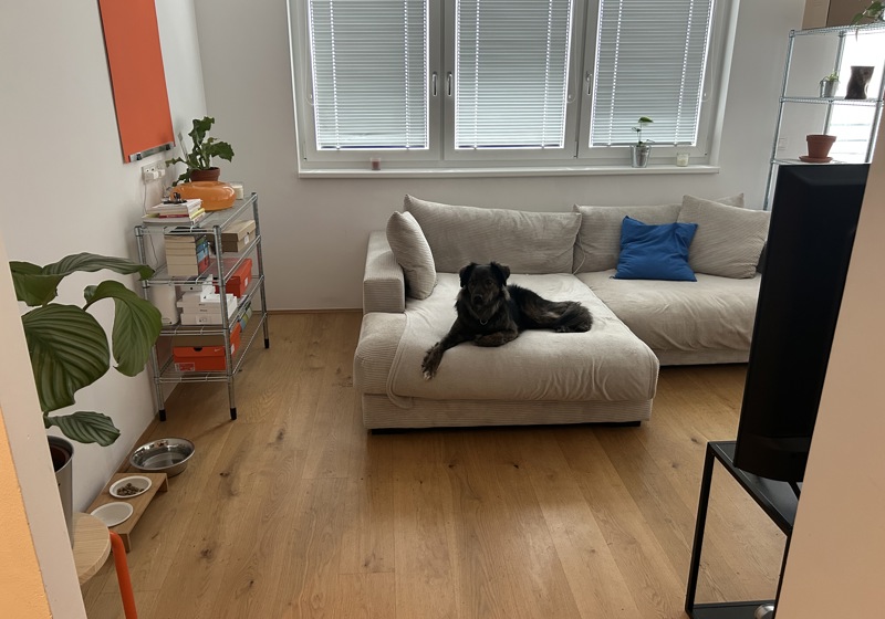 home swap in Vienna, Austria