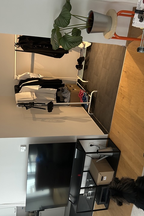 Central Vienna Home - 1