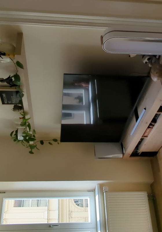home swap in Prague, Czech Republic