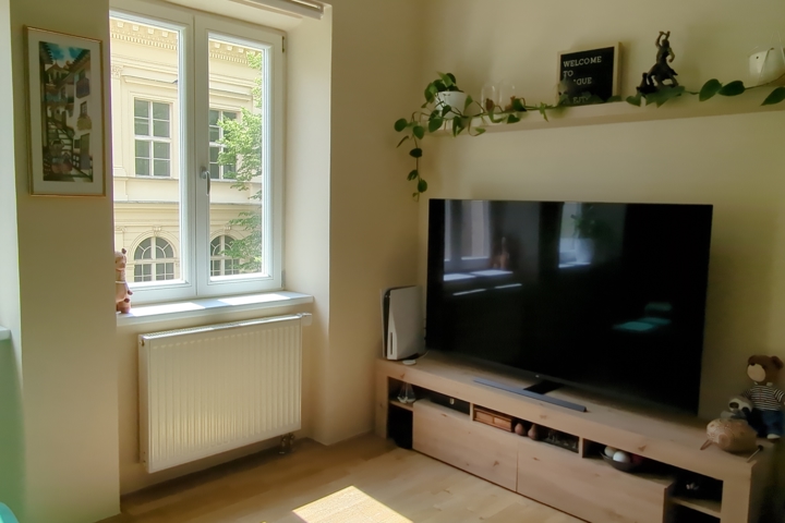Spacious flat in the heart of Prague - 3