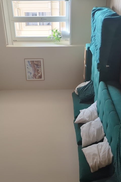 Spacious flat in the heart of Prague - 1