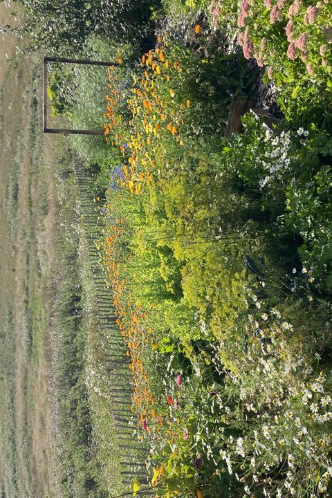 Private old farm with plenty of creative space - 14