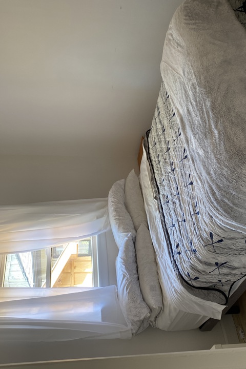 Collingwood gem near Blue Mtn, town, hiking, winer - 9