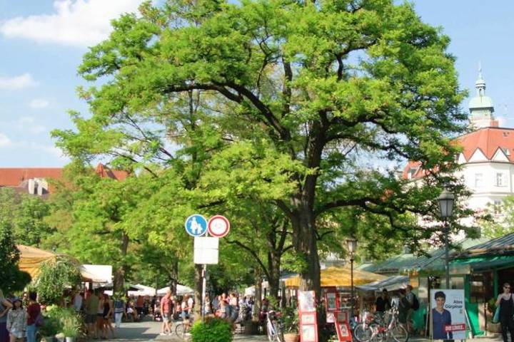 Summer in MUNICH — Your Perfect Getaway - 24