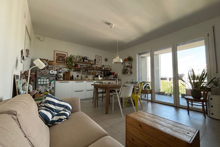 Park view 12th floor 50mq flat in Affori - 3